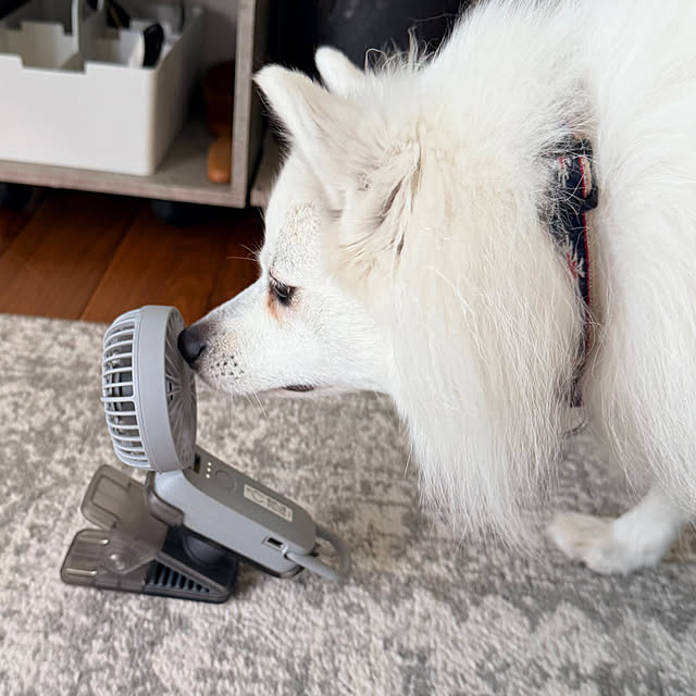 nuruiさんの実例写真