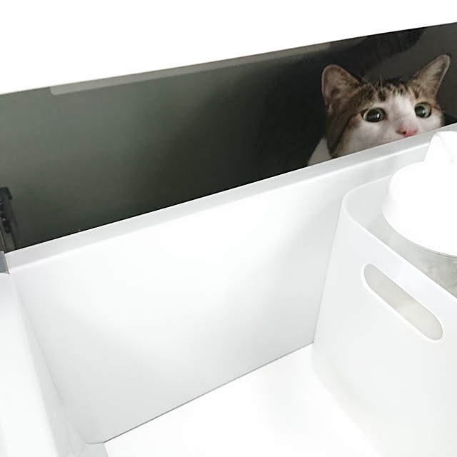 nachiさんの実例写真