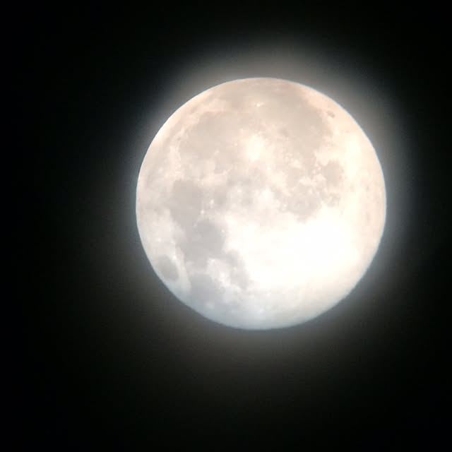 hanaさんの実例写真