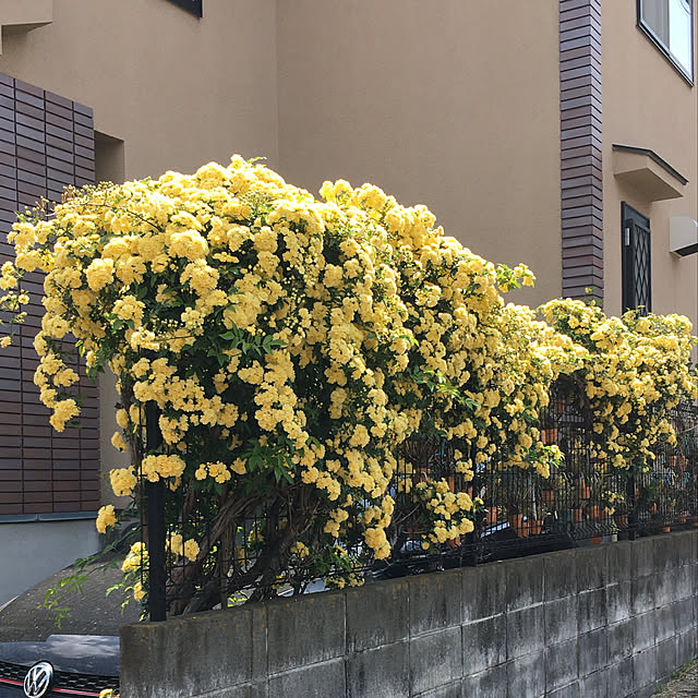 tomoさんの実例写真