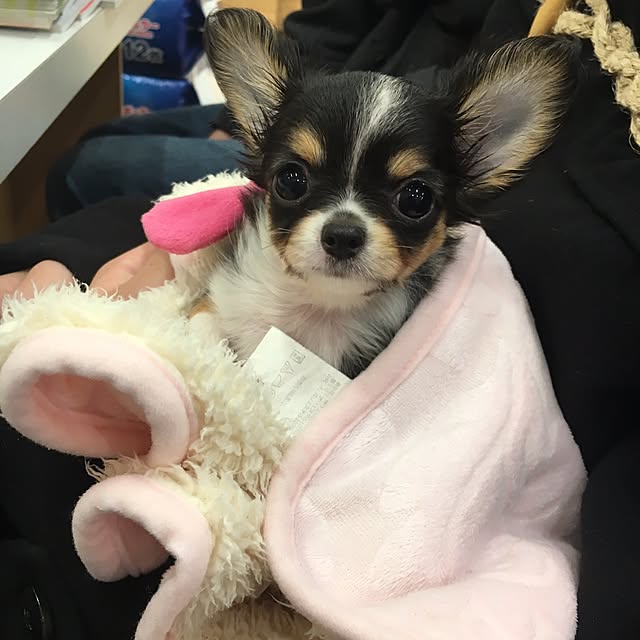 kaorunさんの実例写真