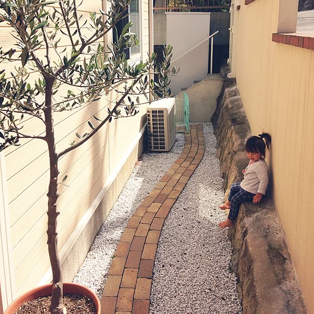 Maizuruさんの実例写真