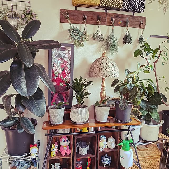 umeboshicyanさんの部屋