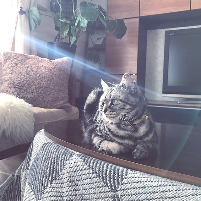 hiyupan88さんの実例写真