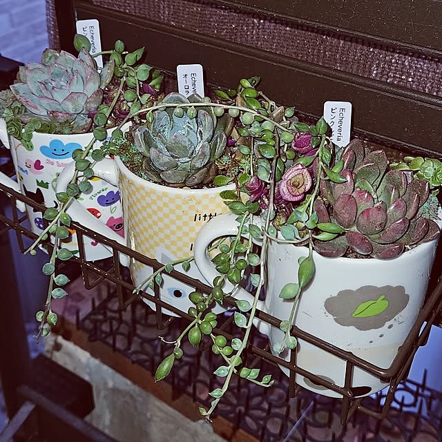 mocomocoさんの部屋