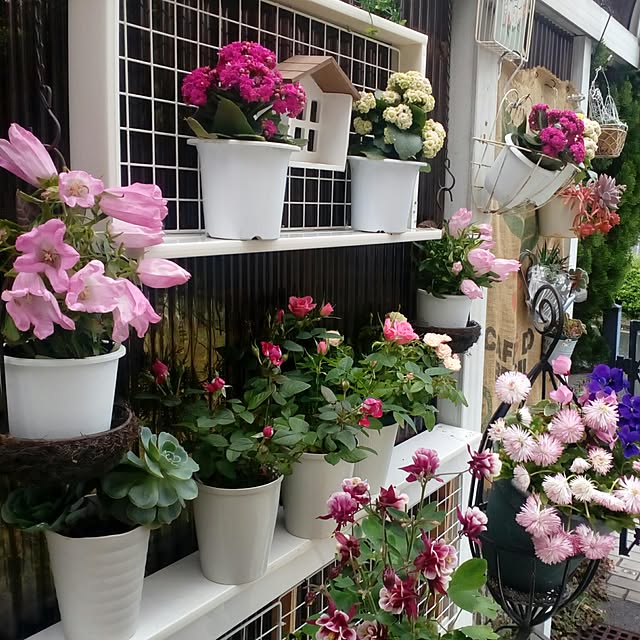 kotarinkoさんの実例写真