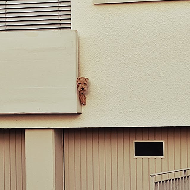 lustigさんの実例写真