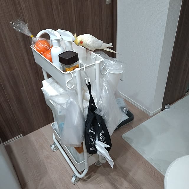 toratanさんの実例写真