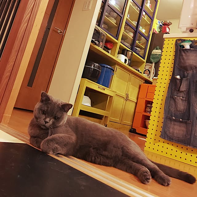 Shojiさんの実例写真