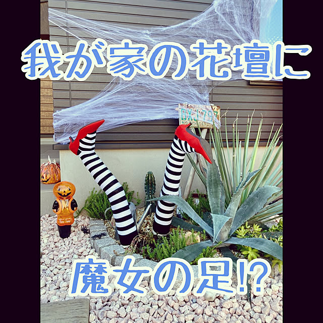 Has.RockUkeyさんの実例写真