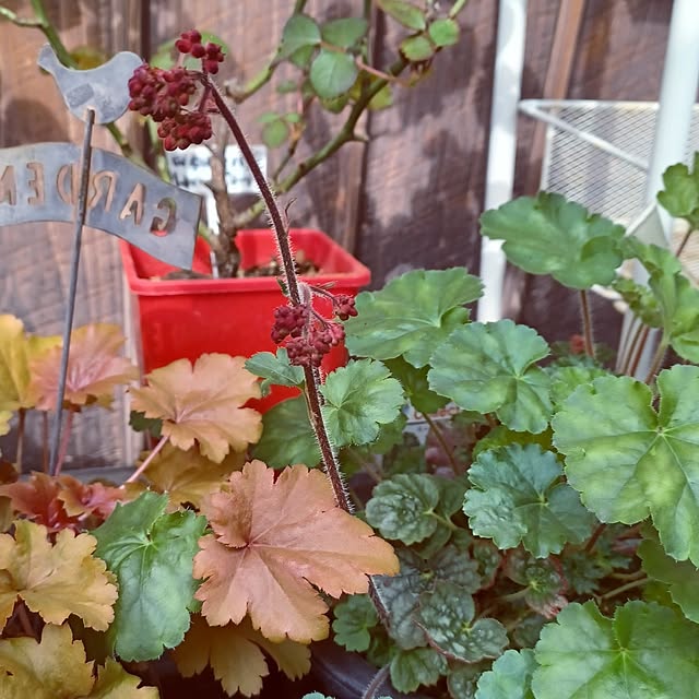 hiro.904さんの実例写真