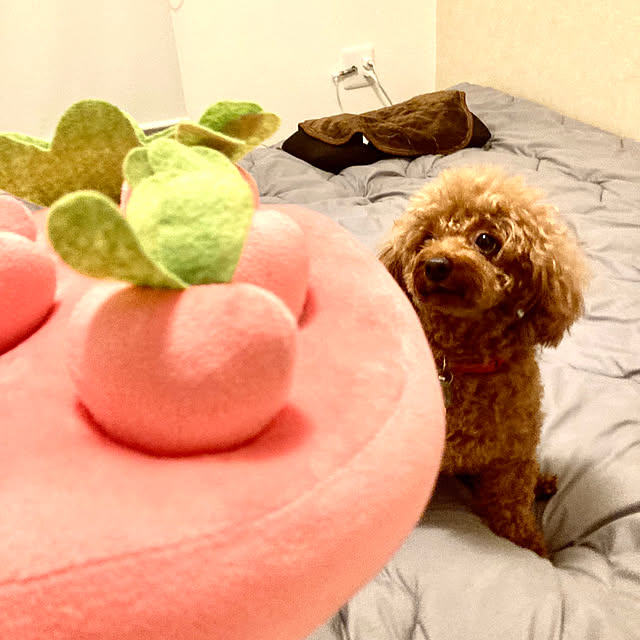 MOMOMAMAさんの部屋