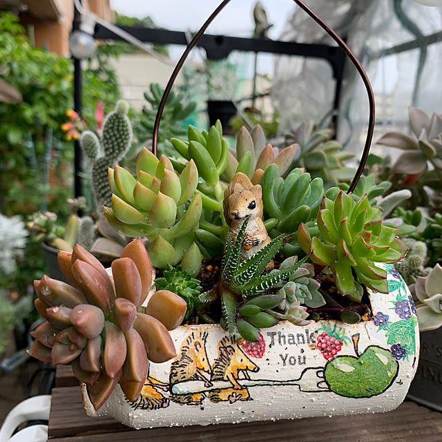 多肉植物寄せ植え/リメイク缶/ガーデン雑貨/好きな時間/癒し 多肉植物寄せ植え/リメイク缶/ガーデン雑貨/好きな時間/癒し