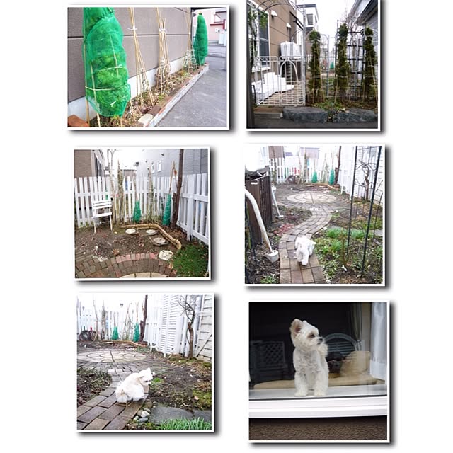 ksyanさんの実例写真
