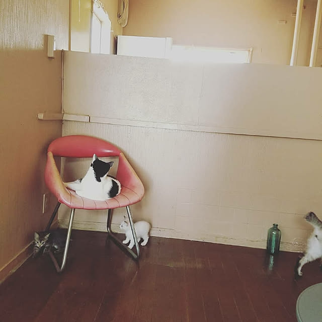 yukitadaさんの実例写真