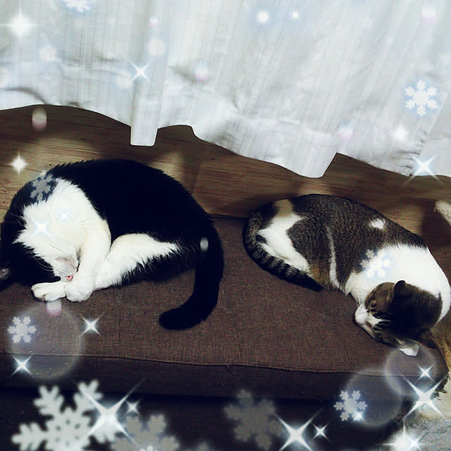 Tomopさんの実例写真