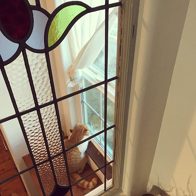 tomasさんの実例写真