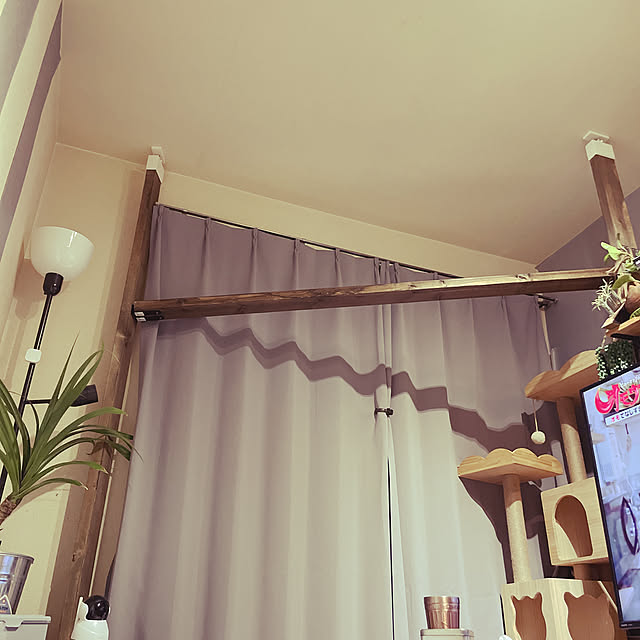 Rindasanさんの実例写真