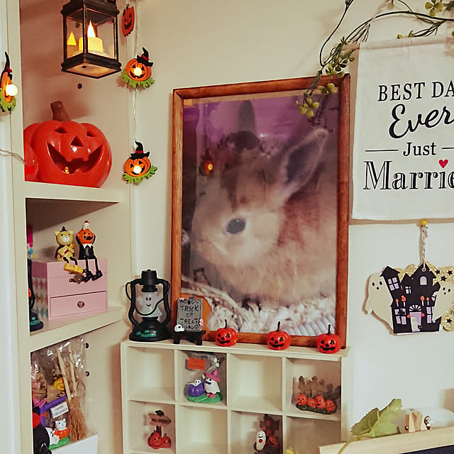 mariaさんの実例写真