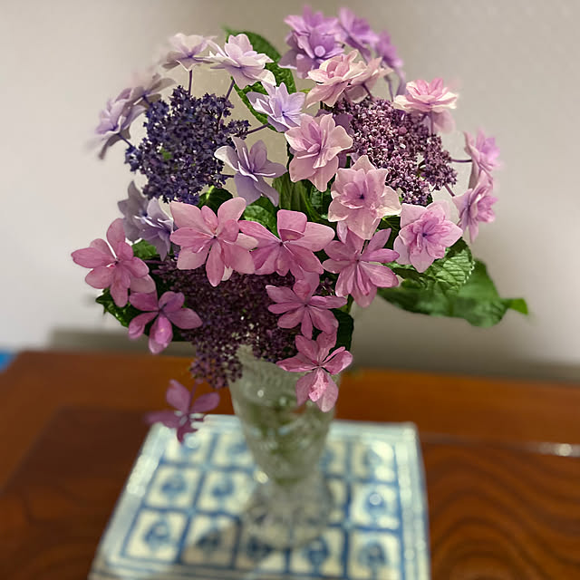 可愛い♡/頂きました/紫陽花/愛犬のいる生活/お花...などのインテリア実例 - 2023-06-14 21:28:15