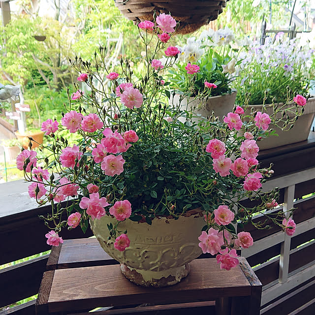 Toraziさんの実例写真