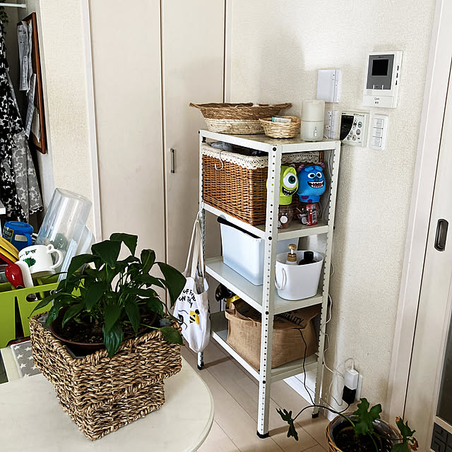 観葉植物/ダイソー/棚のインテリア実例 - 2021-10-16 09:25:04