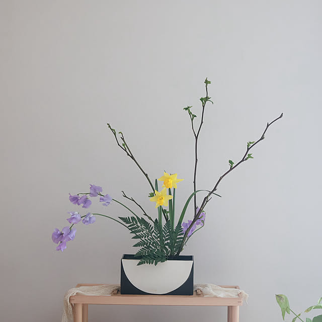 Summerさんの実例写真