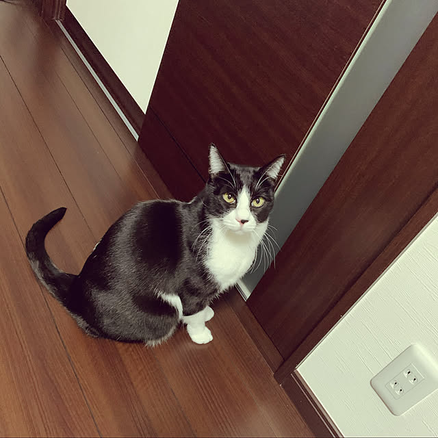 Sachiさんの実例写真