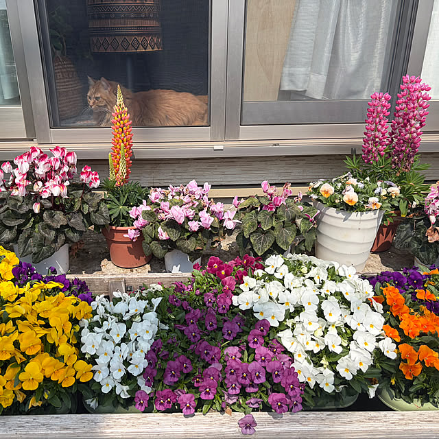 alohaさんの部屋