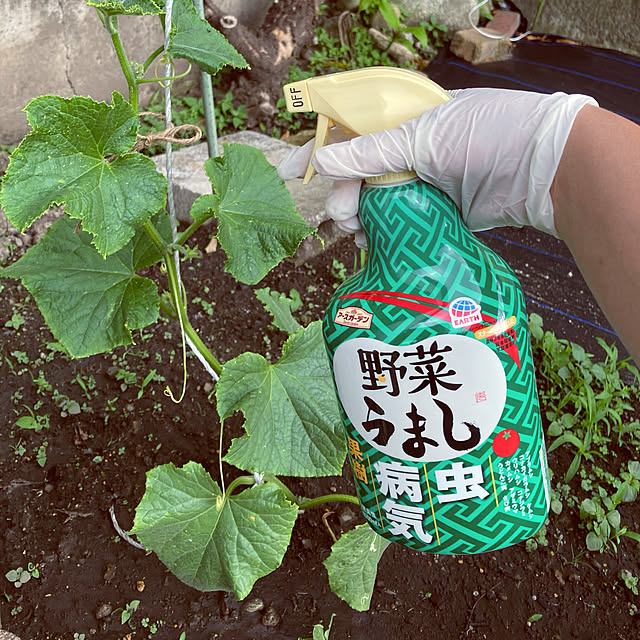 koromo.さんの実例写真