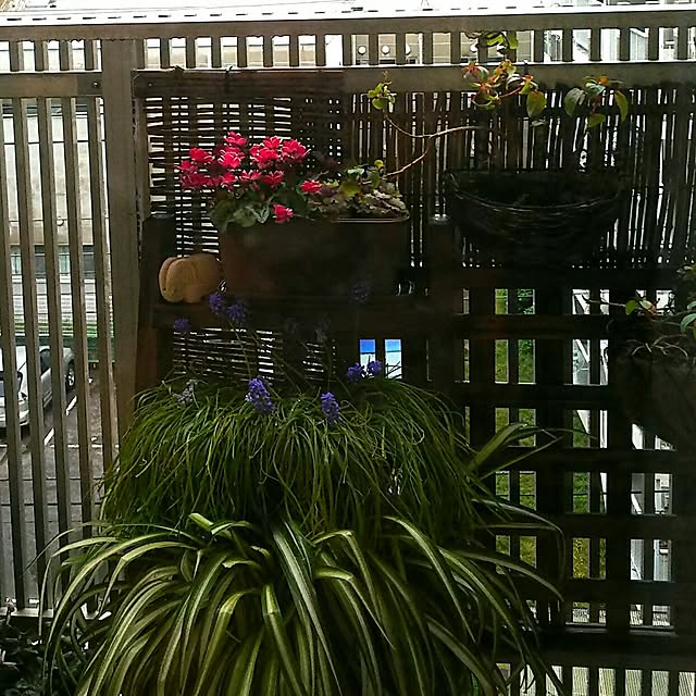 anago106さんの実例写真