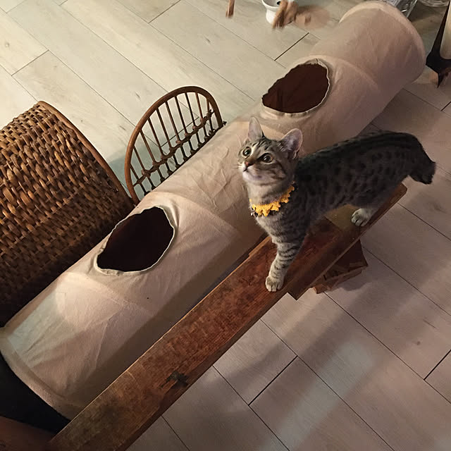 Mさんの実例写真
