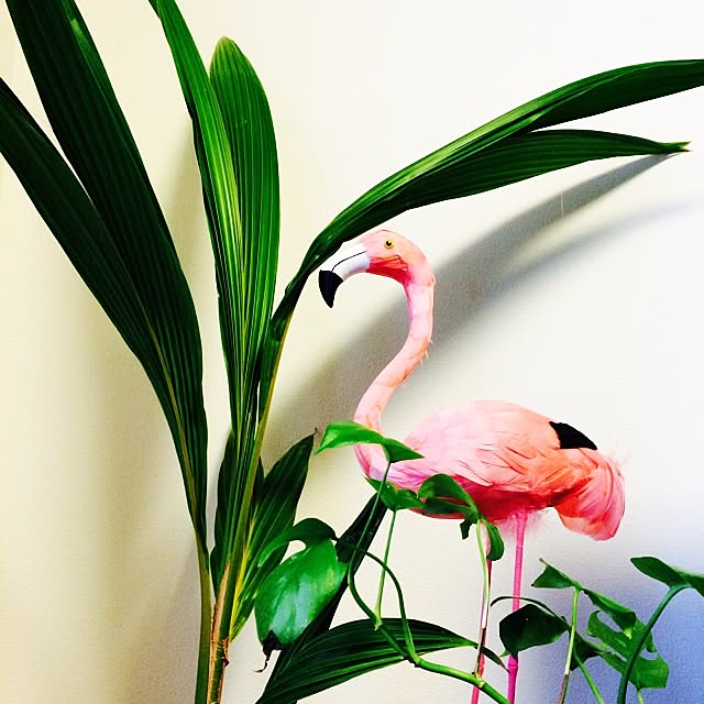 akistyleさんの実例写真