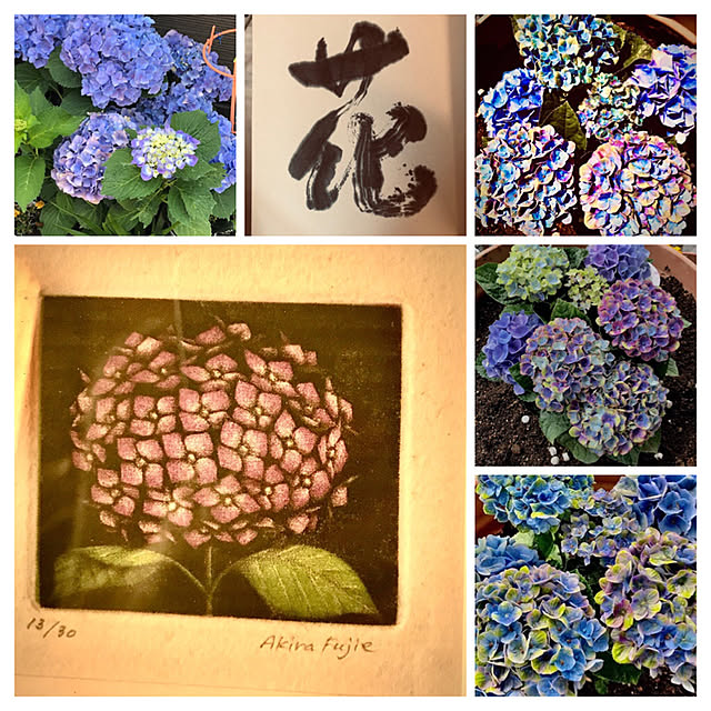 ikuyo.hoshina-sano55さんの実例写真