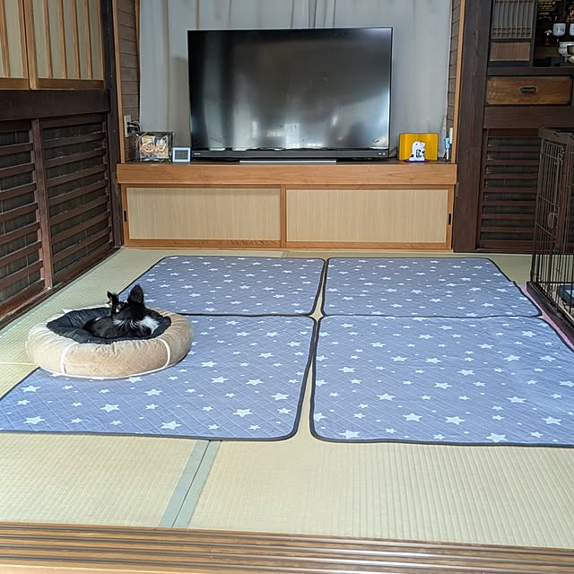 kuririnmamaさんの部屋