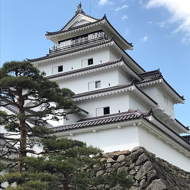 実例写真