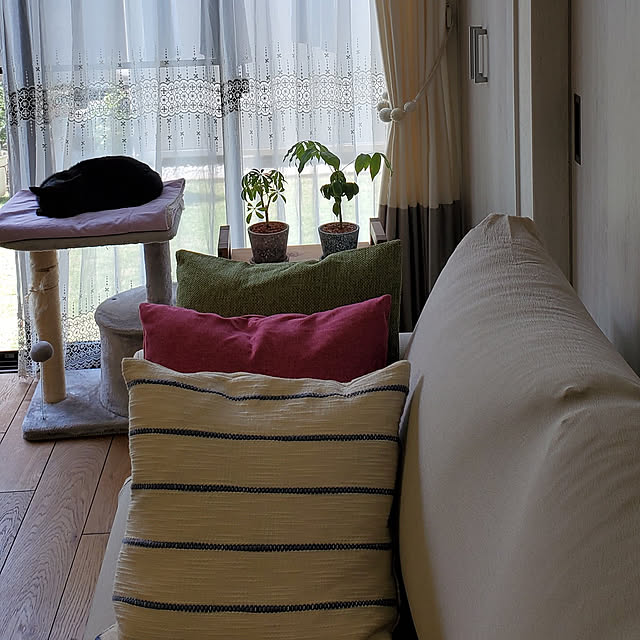 ramuramuさんの実例写真