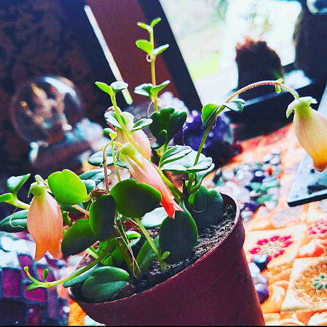 r2g2さんの実例写真