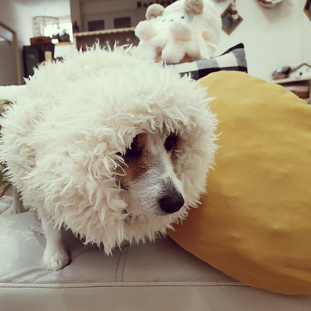 mio_ibu_1106さんの実例写真