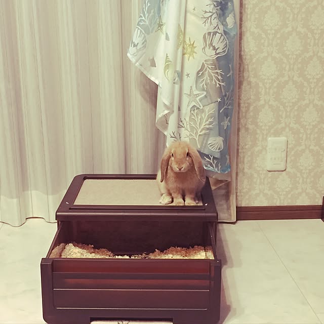 nonさんの実例写真