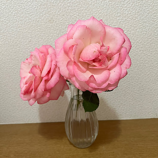 nannoさんの実例写真