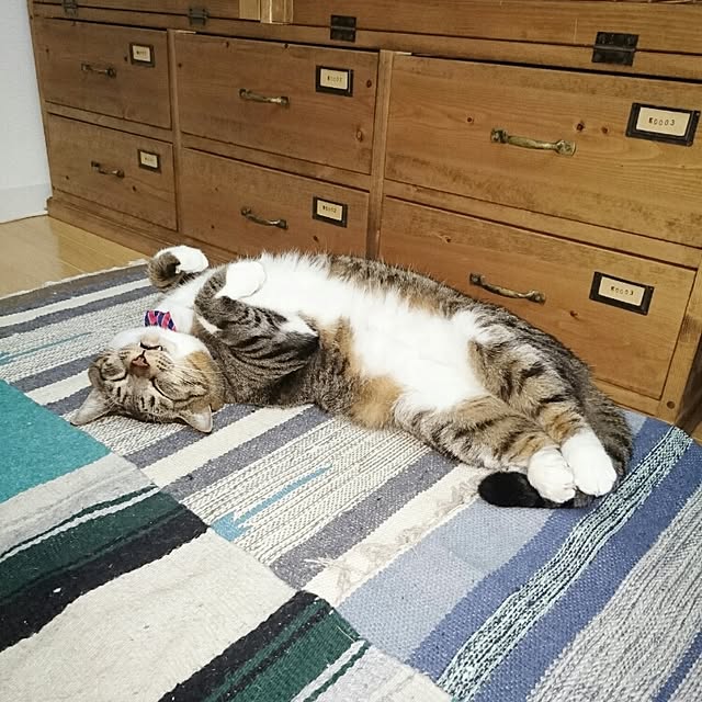 Lukiさんの実例写真