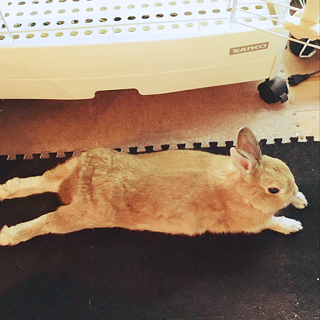 takeさんの実例写真