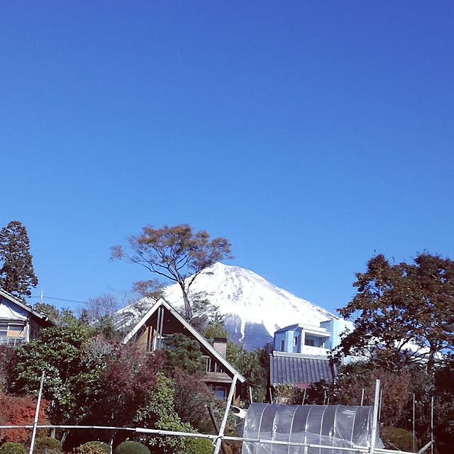 Maki-nekomamireさんの実例写真