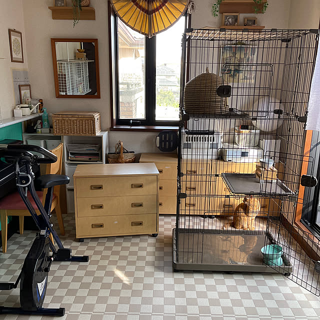 kikiさんの部屋