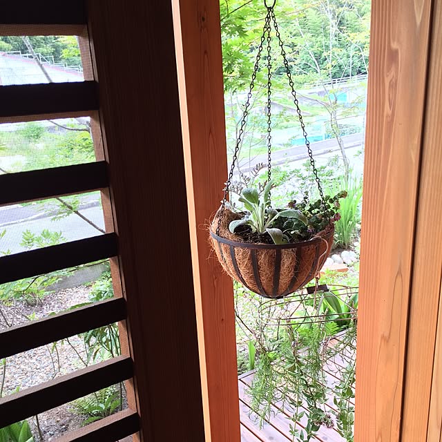 sugomoliさんの実例写真
