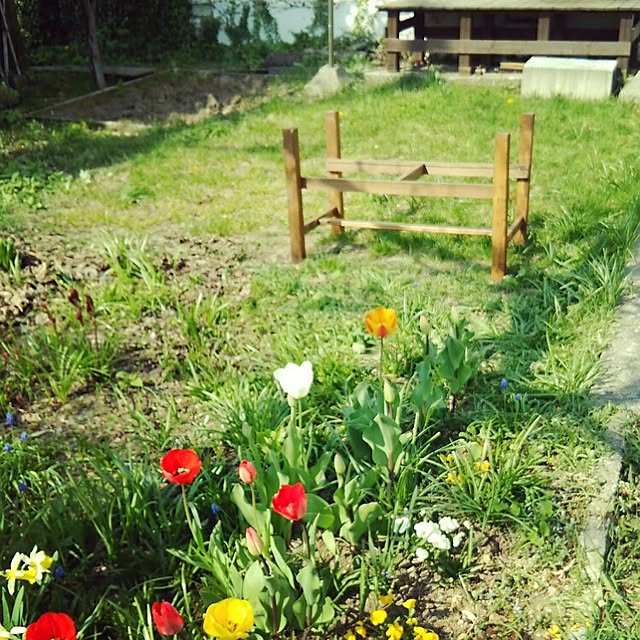 kanokomameさんの実例写真