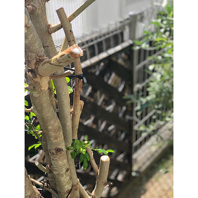 nono.0129さんの実例写真