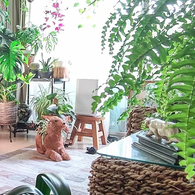 YuriYuriさんの部屋