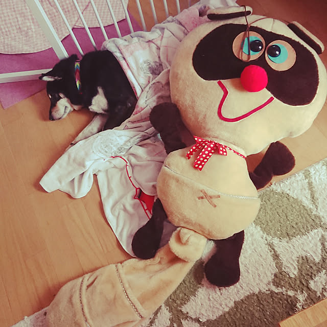 xxxakyxxxさんの実例写真